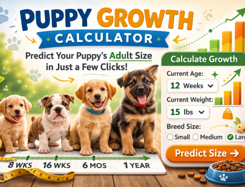 Puppy Growth Calculator: How Big Will Your Puppy Get?
